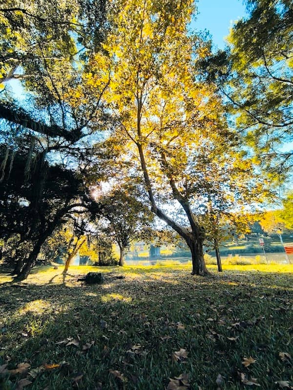 Associação de Turismo Rural Guarapuava - Image 1