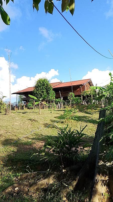 Wisata Betang Nansarunai Dayak Foundation - Image 1