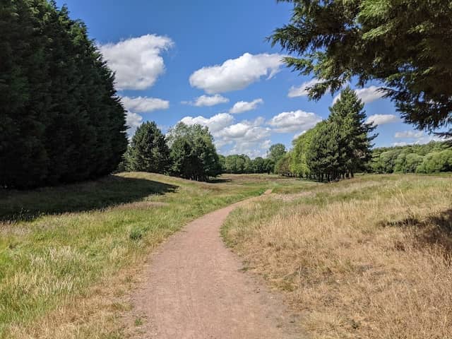 Southwood Woodland - Image 2