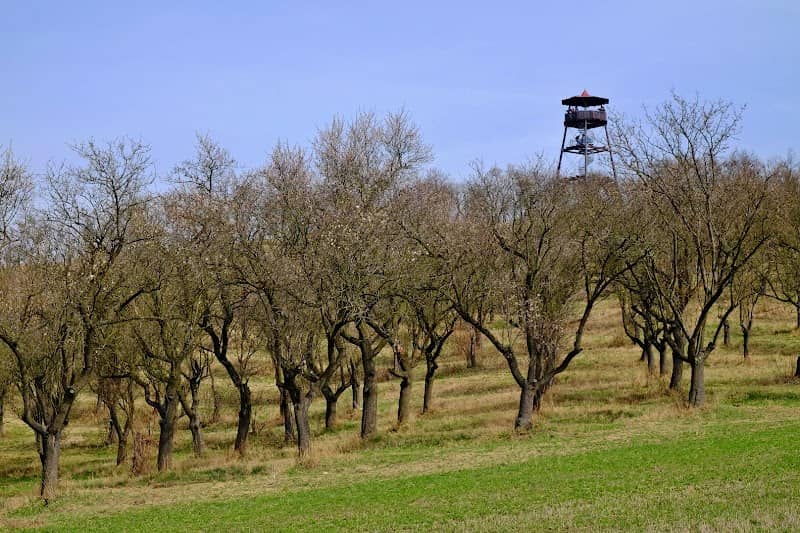 Přední kopaniny - Image 1