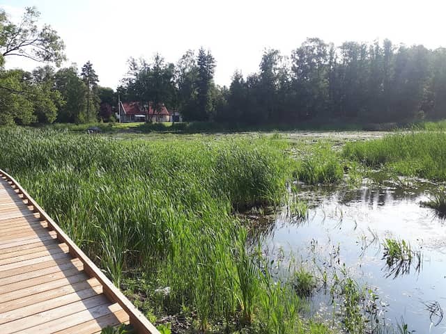 Dammträsk - Image 1