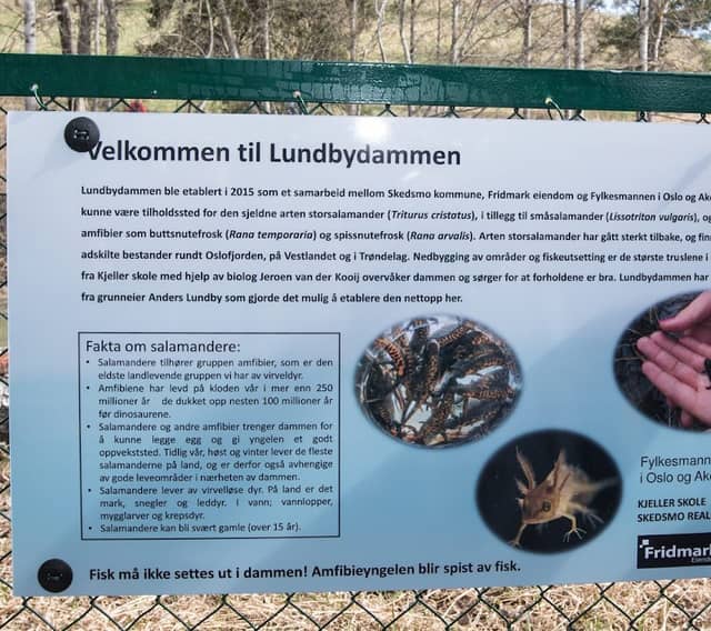 Lundbydammen - Image 1