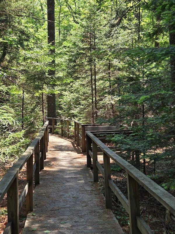 Stanwood Wildlife Sanctuary - Image 2