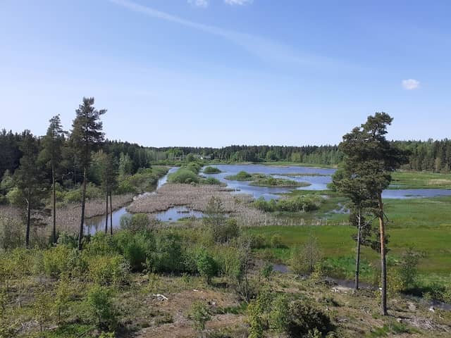 Järvelä Wetland - Image 1