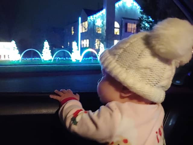 The Tarkowski Family Light Show - Image 2
