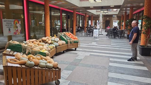 Zucche Nostrane - Pumpkin Attraction - Image 1