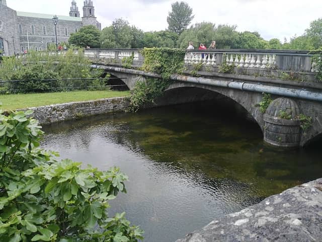 Salmon Weir Bridge - Image 2
