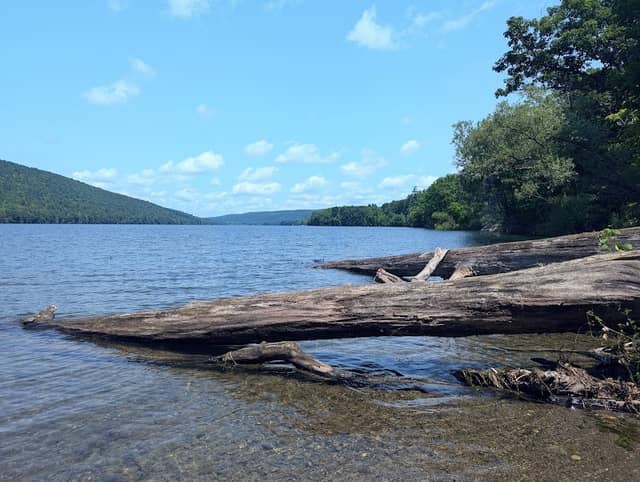 Canadice Lake Trail - Image 1