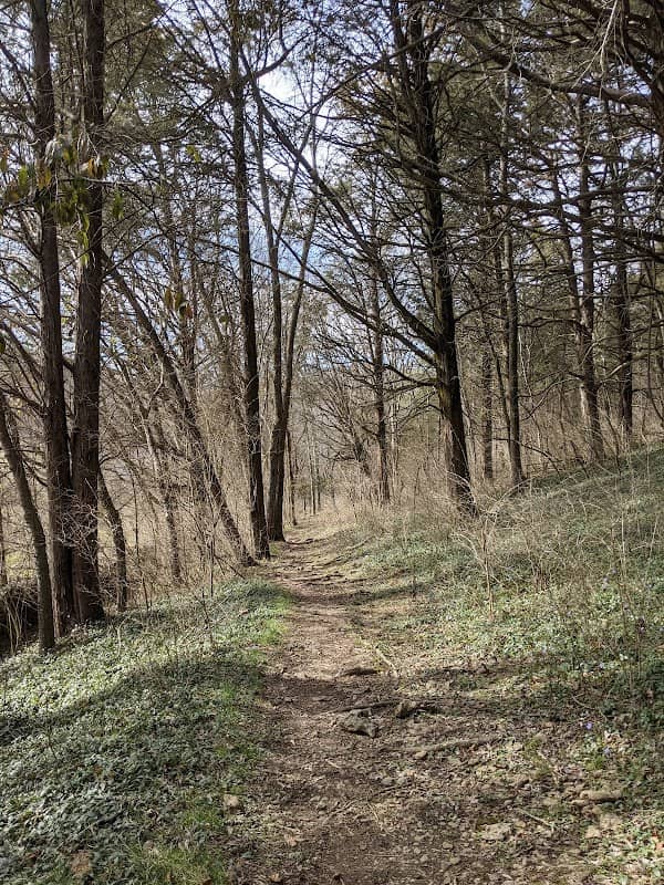 Owl's Hill Nature Sanctuary - Image 2