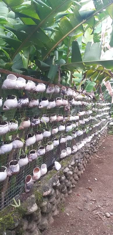 EcoSelva Orchid Garden - Image 3