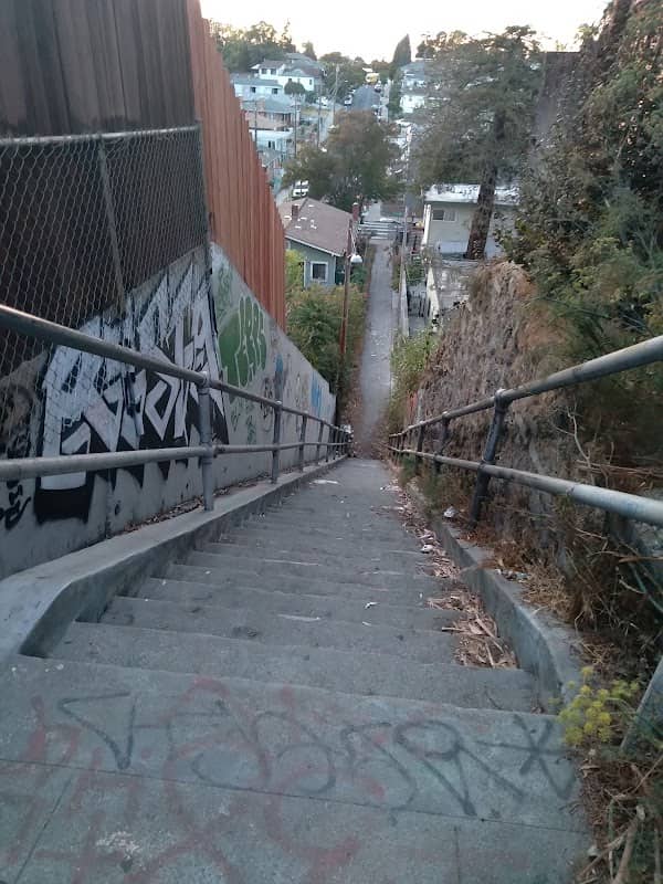 Carrington Steps - Image 3