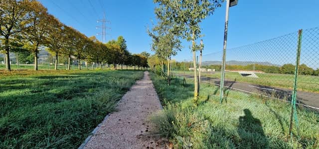 Pista ciclabile - Image 2