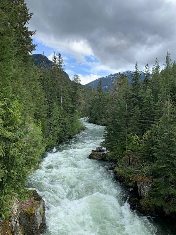 Whistler Interpretive Forest - Image 1