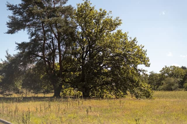 Naturschutzgebiet - Image 1