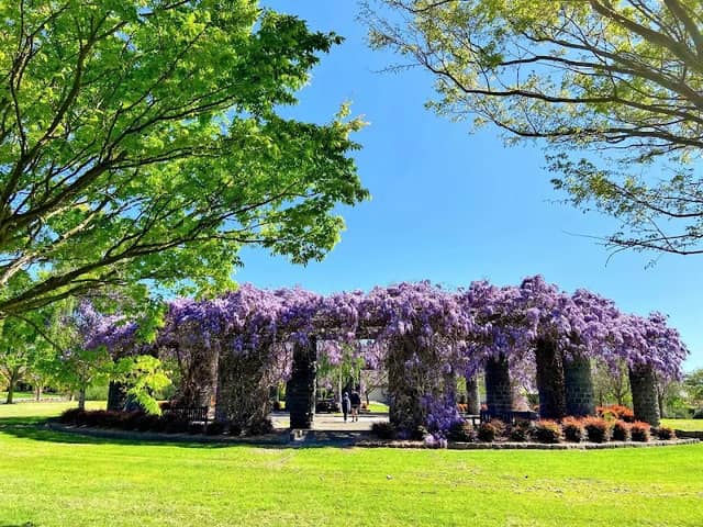 Berwick Springs Park - Image 2