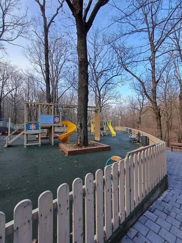 Strehareți Forest - Image 1