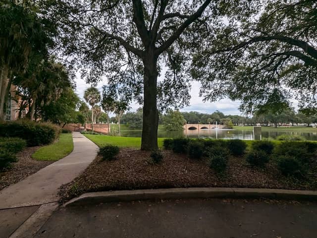 Lake Mira Mar Park - Image 1