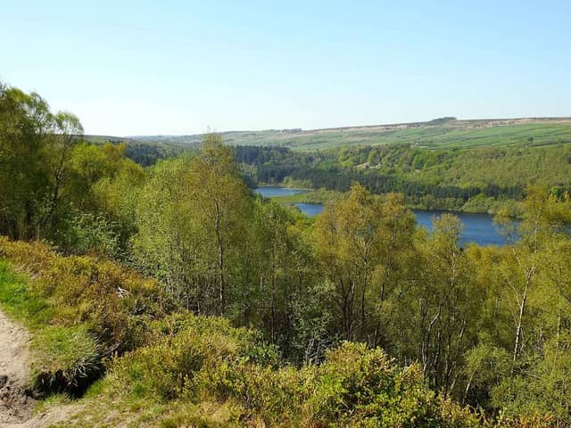 Fox Hagg Nature Reserve - Image 2