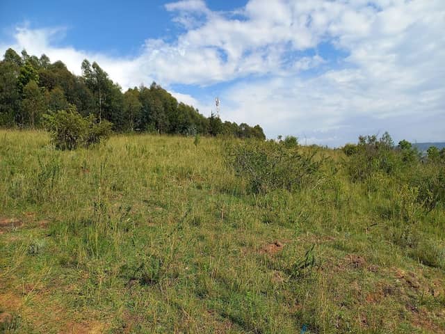 Subukia view point - Image 2