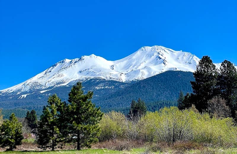 Sisson Meadow - Image 1