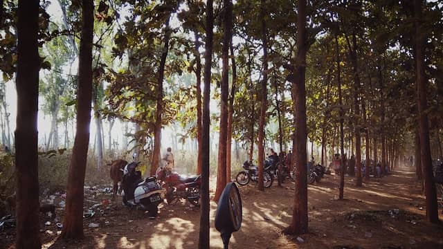 ଲାଗୁନ୍ ଉଦ୍ୟାନ Lagoon Park - Image 1