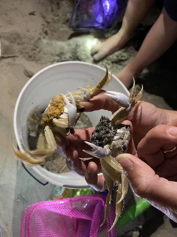 Ghost Crab Quest, LLC - Image 1