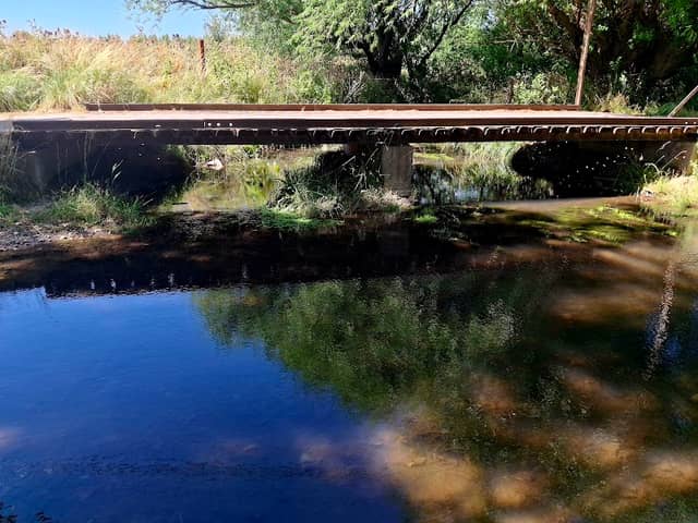 Río Pigüé (río arriba) - Image 1