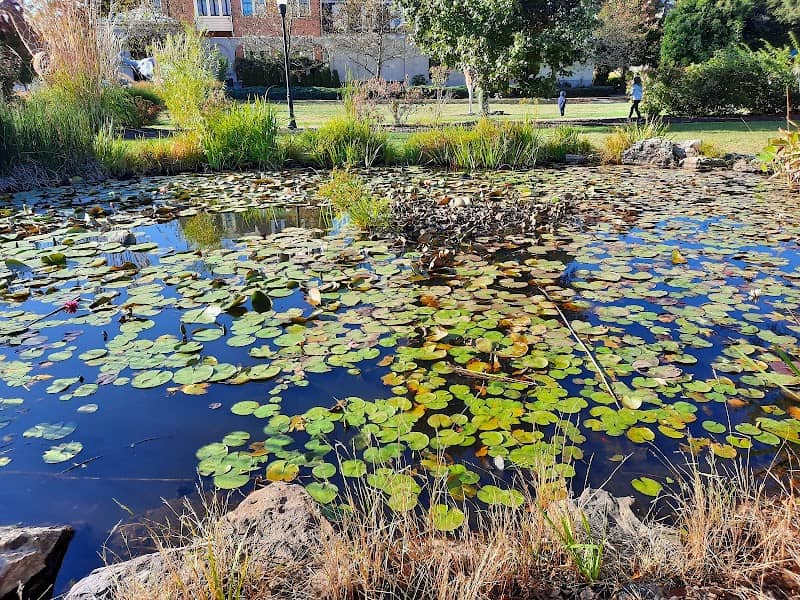 New Town Park - Image 2