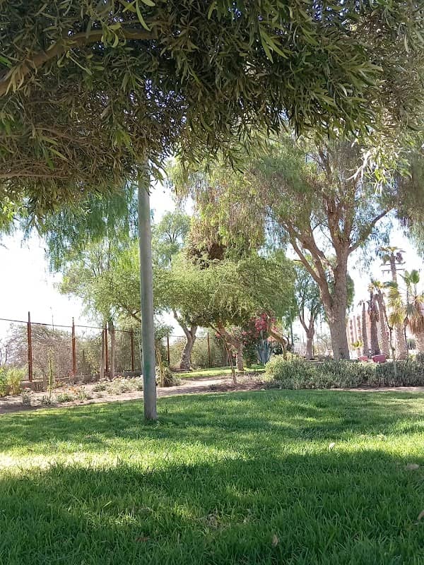 Parque de las Luces - Image 3