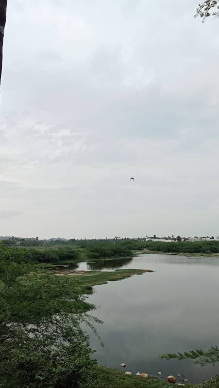 Cheeryal lake - Image 1