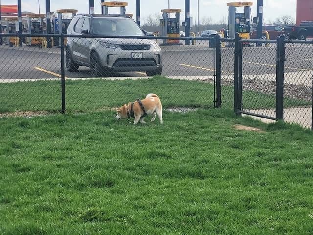 Dog Park at Love's Travel Stops - Image 1