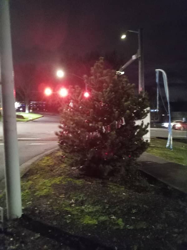 Community holiday tree 🌲 - Image 1