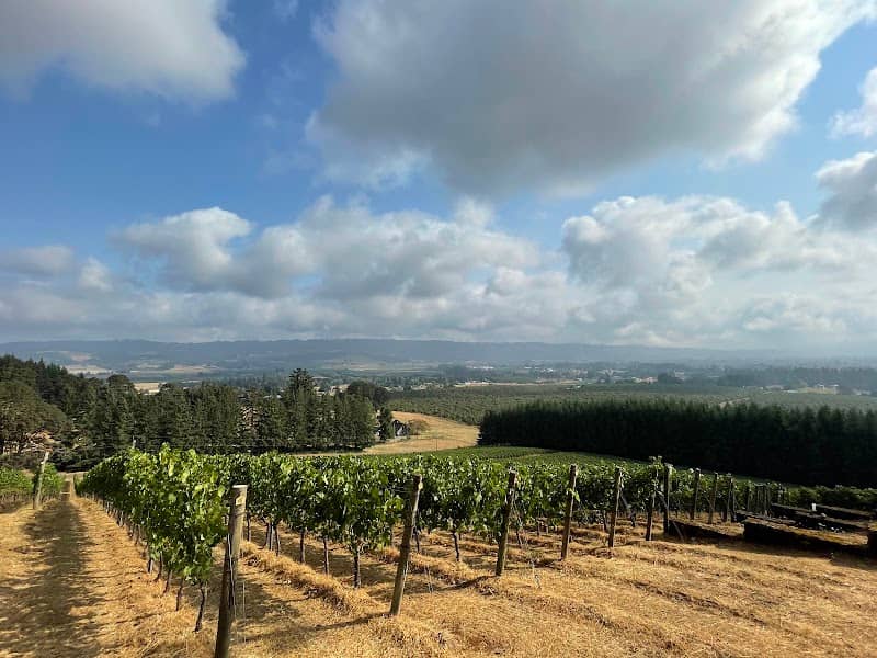 Anderson Family Vineyard - Image 2