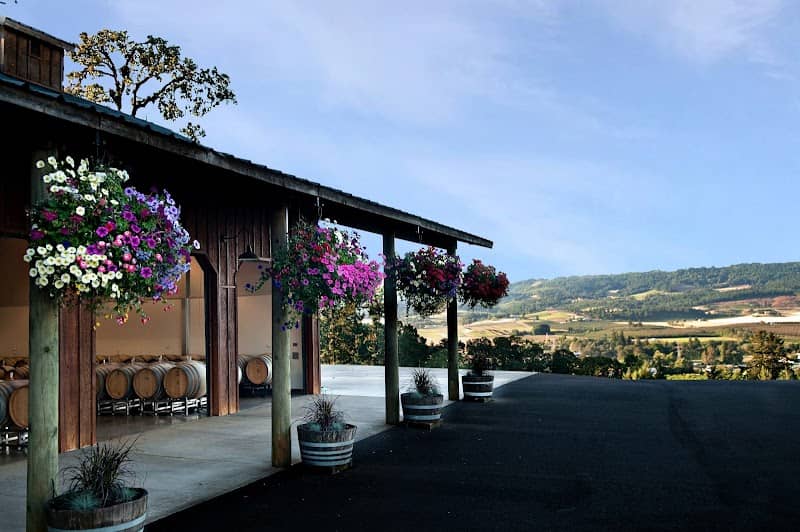 Anderson Family Vineyard - Image 1