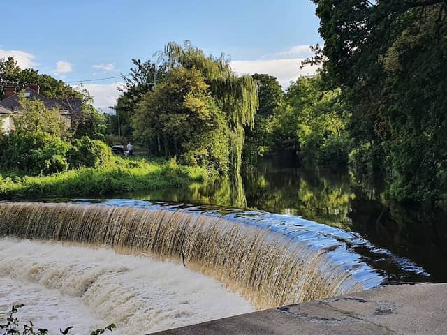 Dartry Park - Image 1
