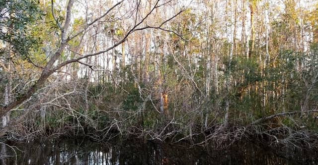 Fruitwood Park - Image 2