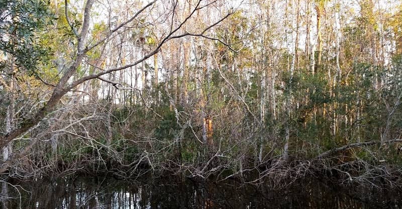 Fruitwood Park - Image 2