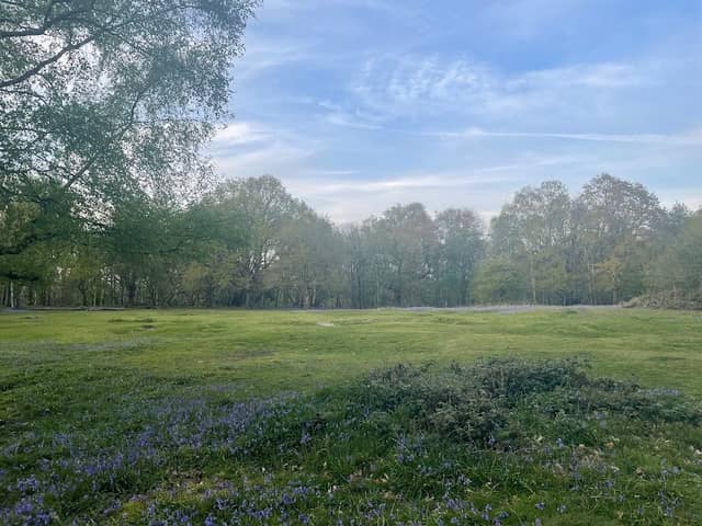 Picnic Spot At Warren - Image 1