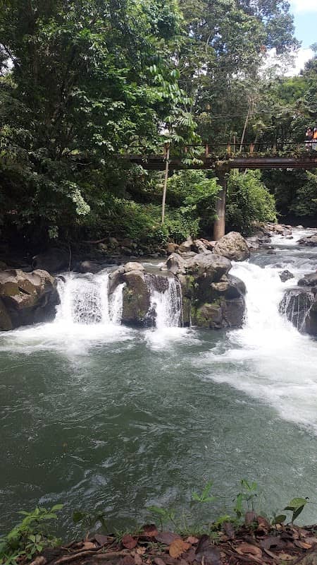 El Salto (Rope Swing) - Image 1
