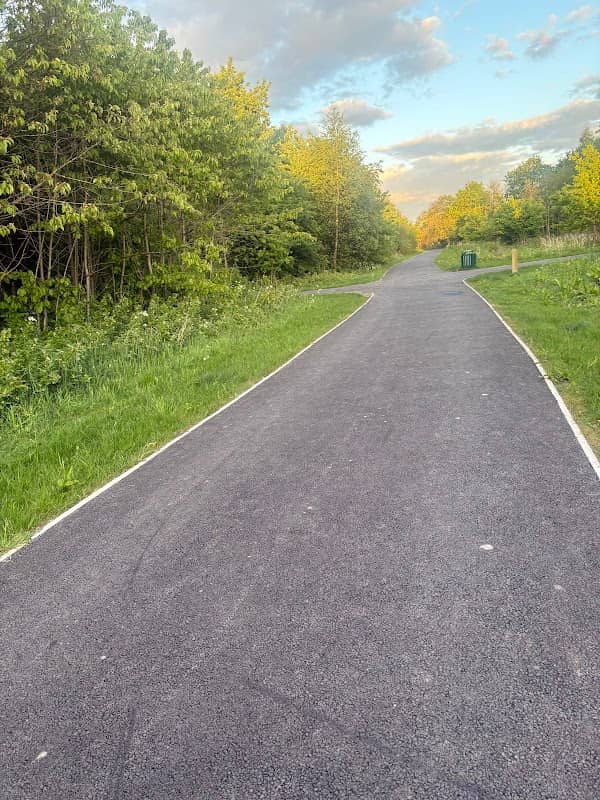 Finch Woods - Image 2