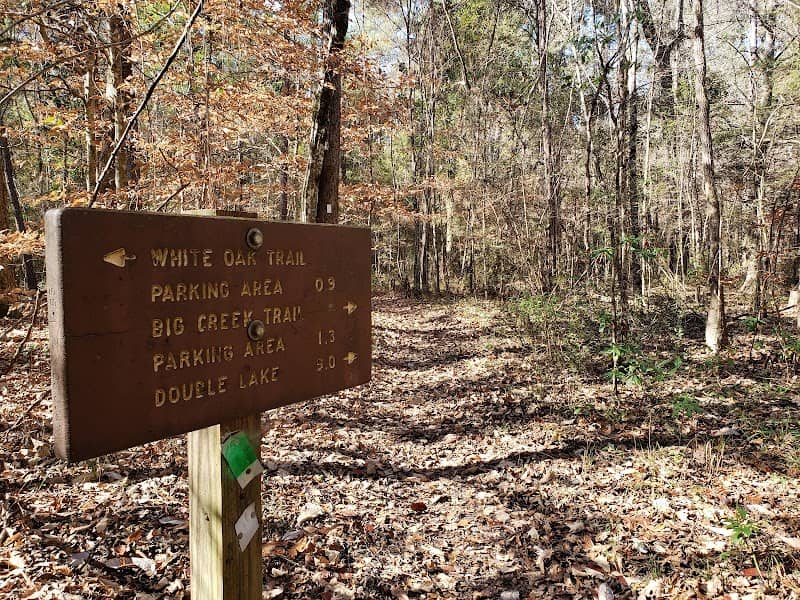 Lone Star Hiking Trail - Big Creek Primitive Campsite - Image 2