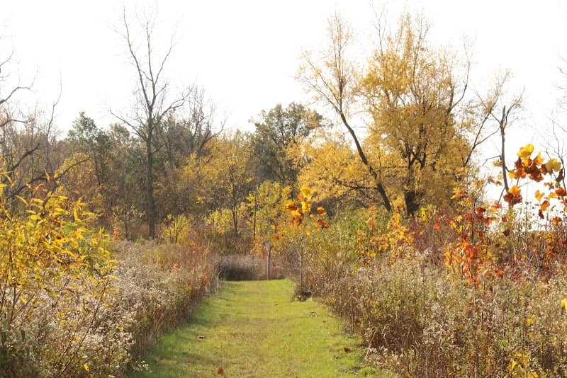 Black Swamp Preserve - Image 3