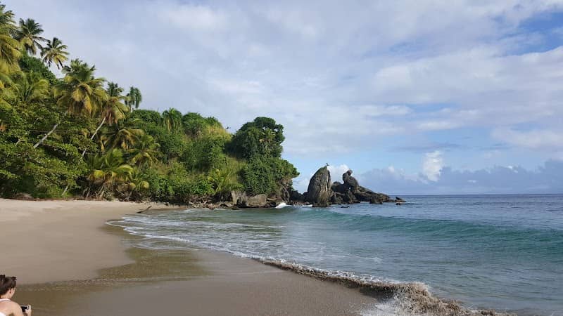 Tropical Paradise - Playa La Mara - Image 1