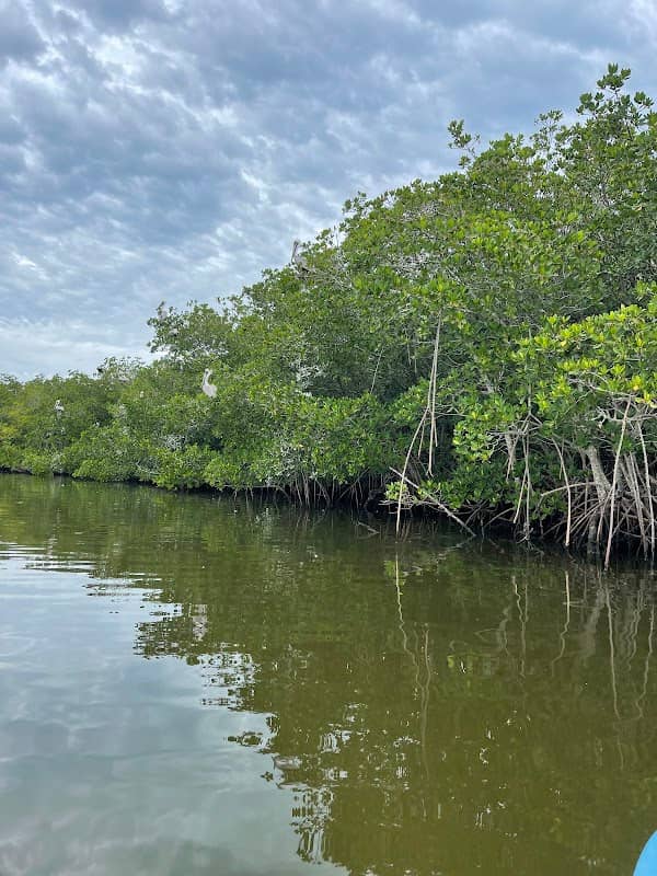 Bayer Isle - Image 1