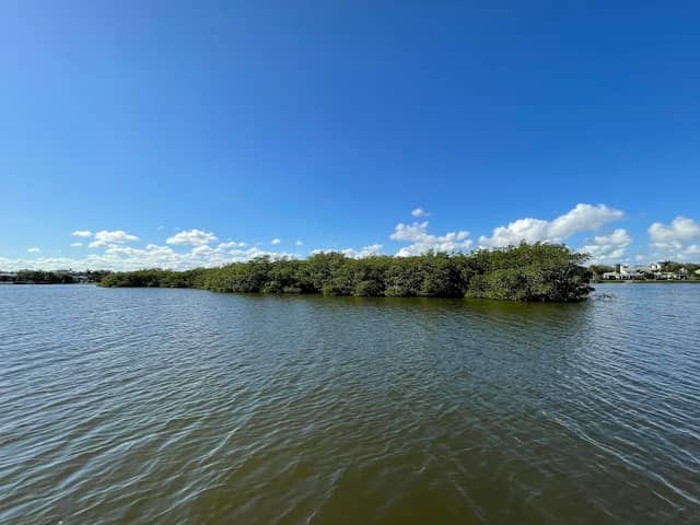 Bayer Isle - Image 2