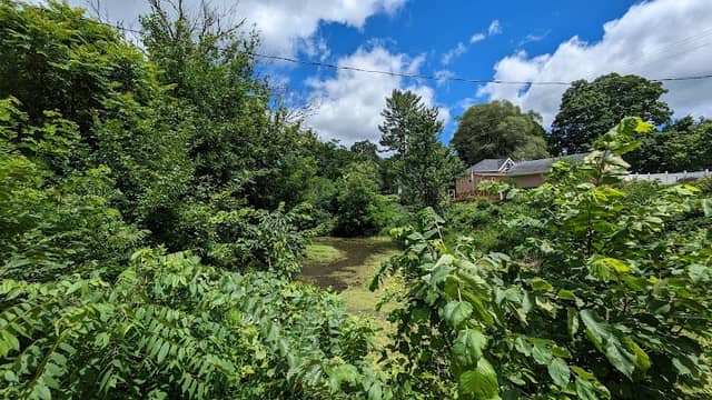 Hazel Devore Park - Image 2