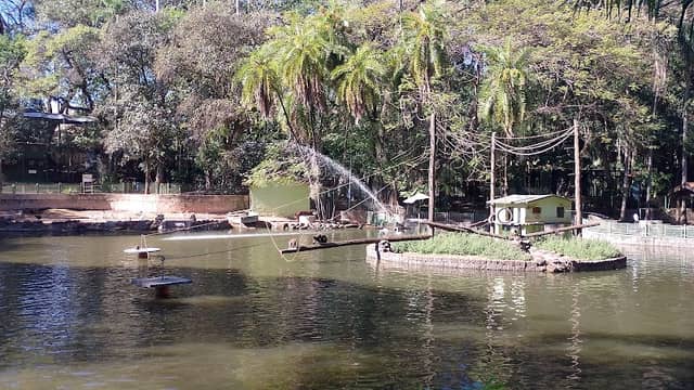 Ilha dos Macacos - Image 1