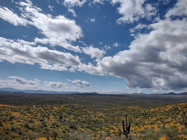 San Carlos Recreation & Wildlife - Image 2