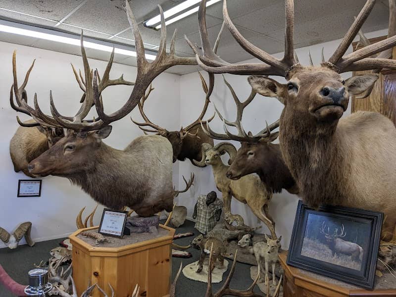 San Carlos Recreation & Wildlife - Image 2