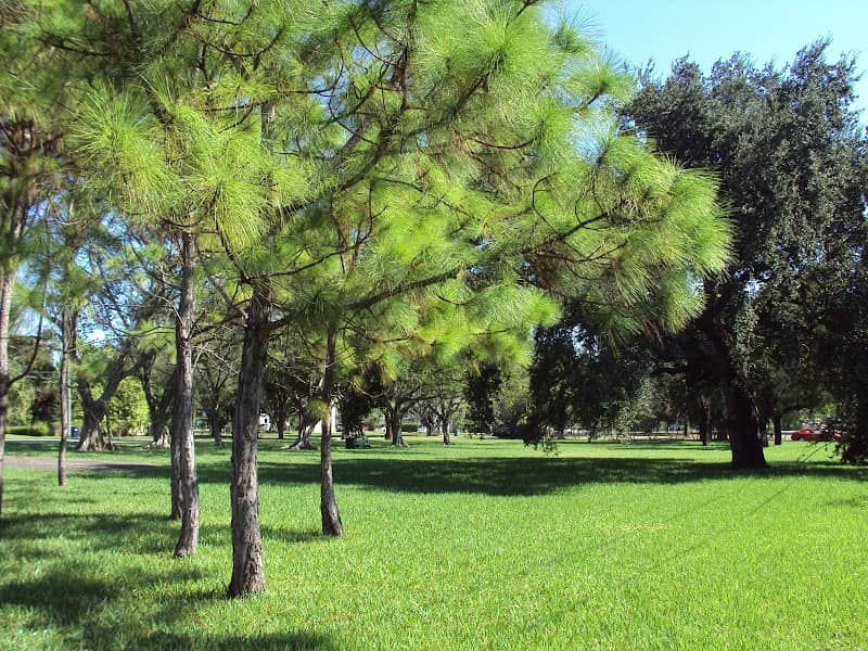 Ragan Park - Image 1